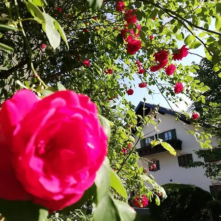 Guest house Fruehstueckspension Helmhof