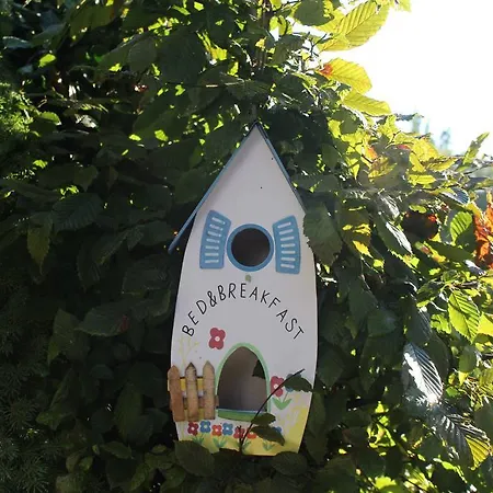 Guest house Fruehstueckspension Helmhof 2*