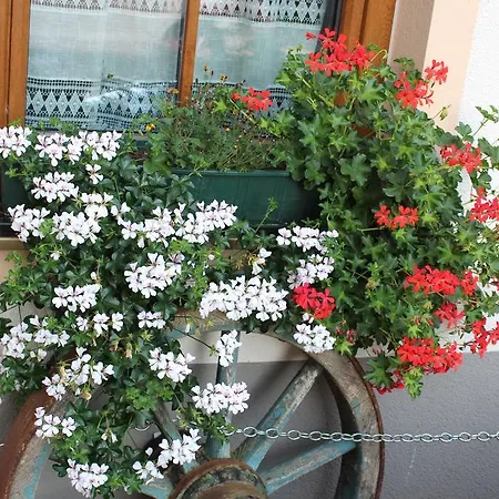 Fruehstueckspension Helmhof Guest house Salzburg